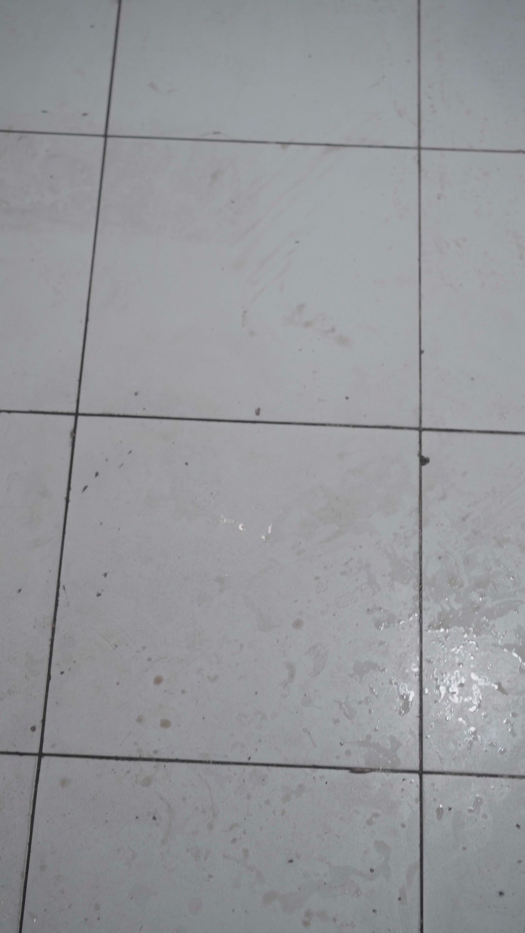 Floor Cleaner (1 Litre)