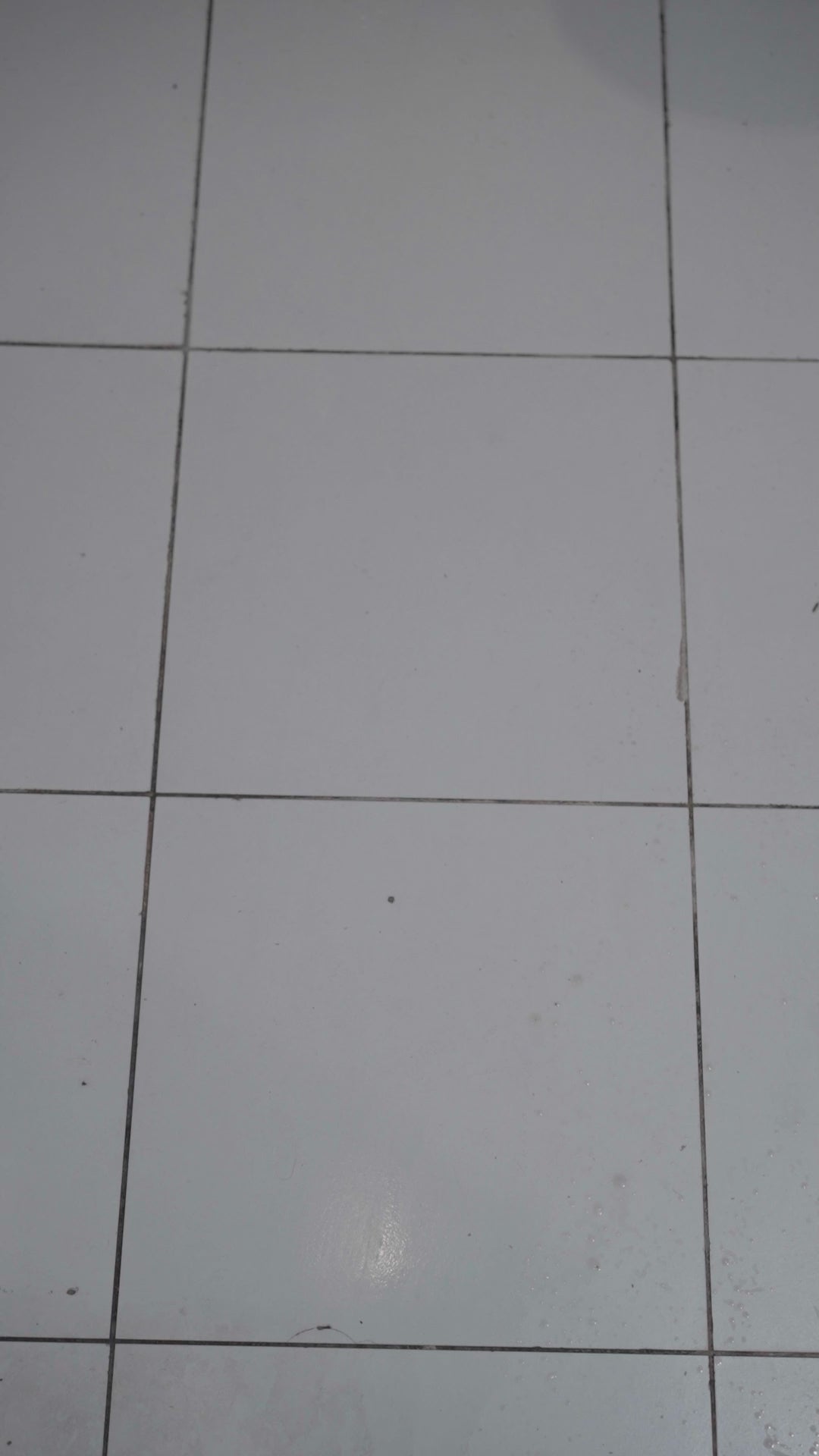 Disinfectant Floor Cleaner (1 Litre)