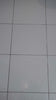 Disinfectant Floor Cleaner (1 Litre)