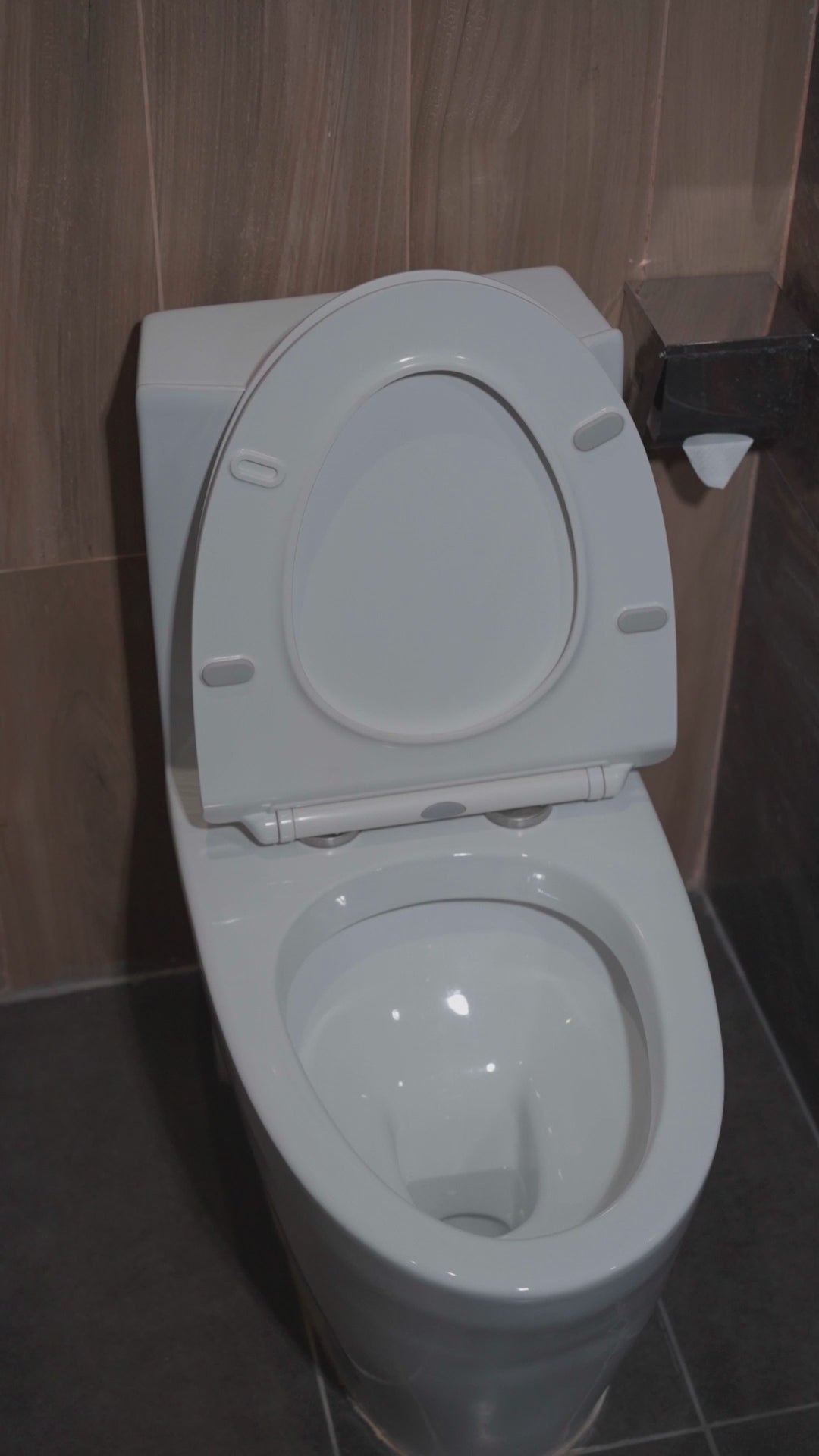 Toilet Cleaner (1 Litre)