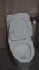 Toilet Cleaner (1 Litre)