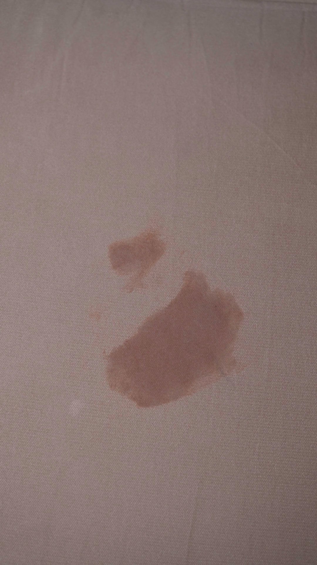 Fabric Stain Remover (200ml)